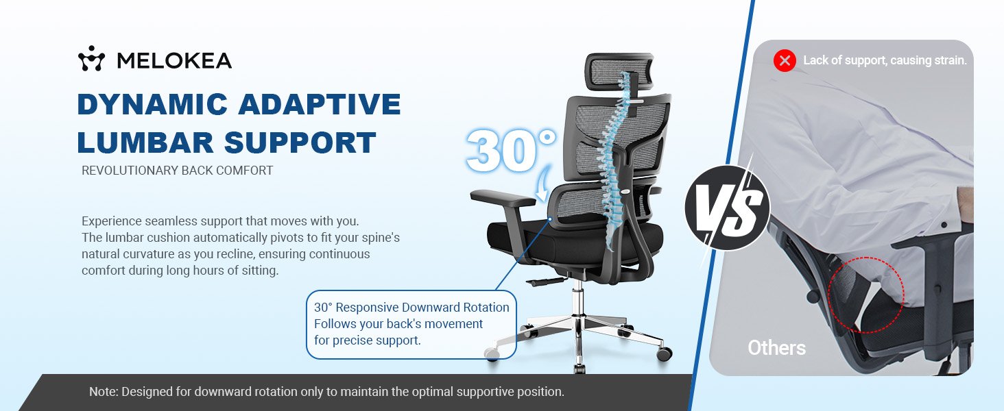 Text reads 'FOAM FILTER', 'OPERATING TEMPERATURE', 'SERVICE LIFE', 'DYNAMIC ADAPTIVE LUMBAR SUPPORT'. Technical diagram showing office chair features with measurements and specifications.